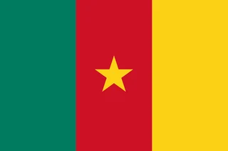 Flag of Cameroon