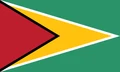 Flag of Guyana