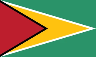 Flag of Guyana
