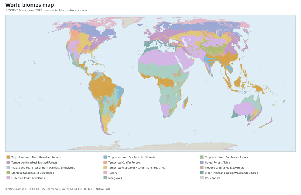 World biomes map